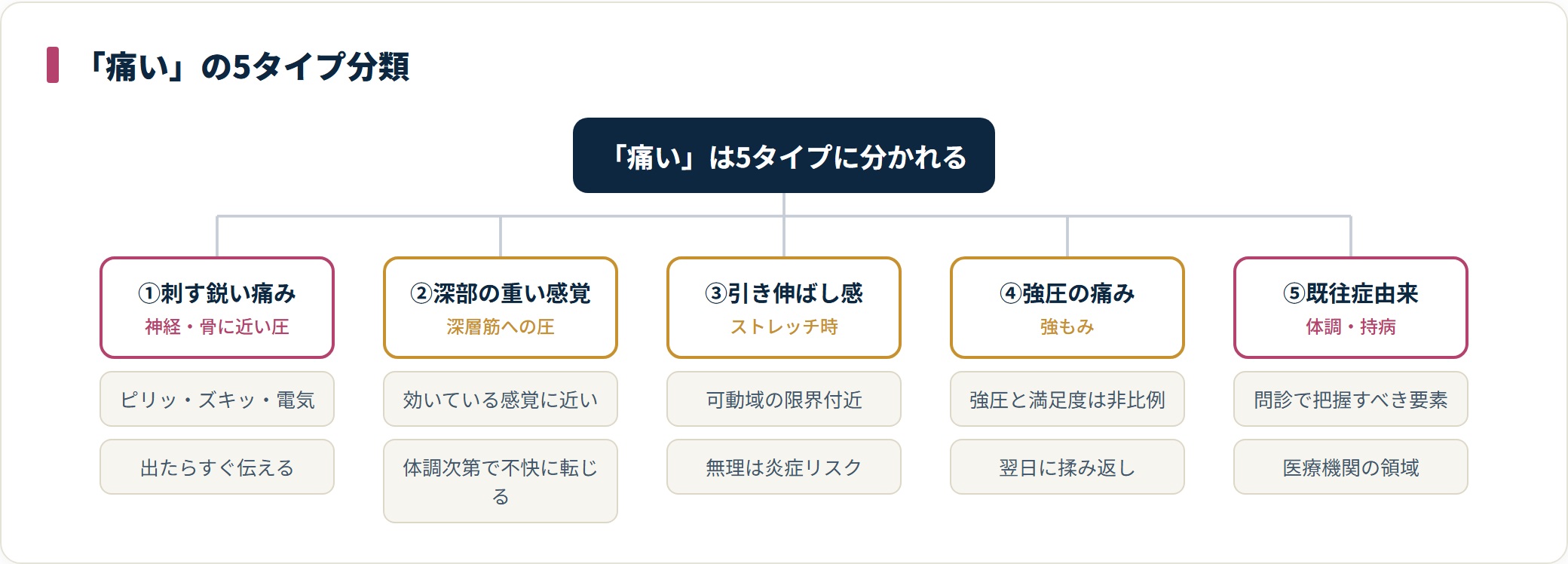 痛みを神経・骨、深層筋、ストレッチ、強圧、既往症の5タイプに分類した図。